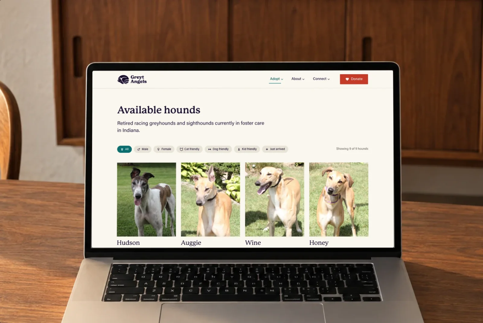 The Available hounds page on a laptop on a walnut table: filters, then Hudson, Auggie, Wine and Honey.