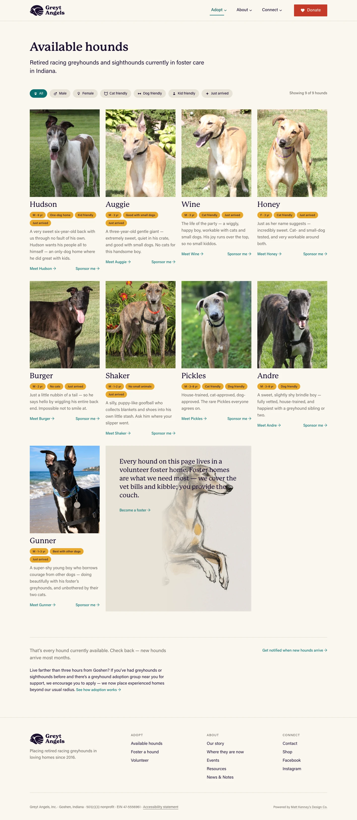 The live Available hounds page: a filter row, then nine adoptable hounds with real photographs
